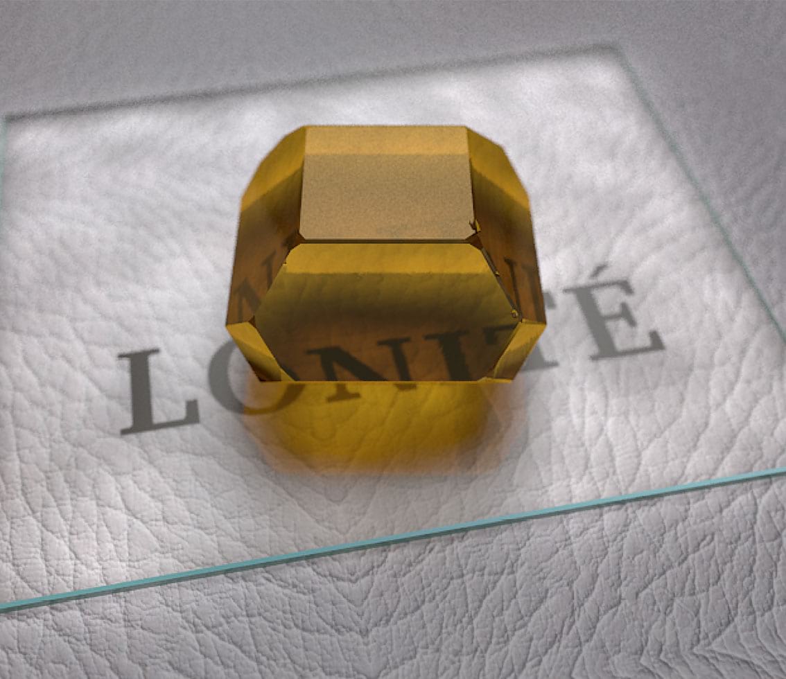 Swiss company LONITÉ turns hair and human cremation ashes into memorial diamonds. These are faces of a family.